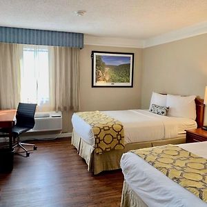 Double Room Two Double Beds Non-Smoking